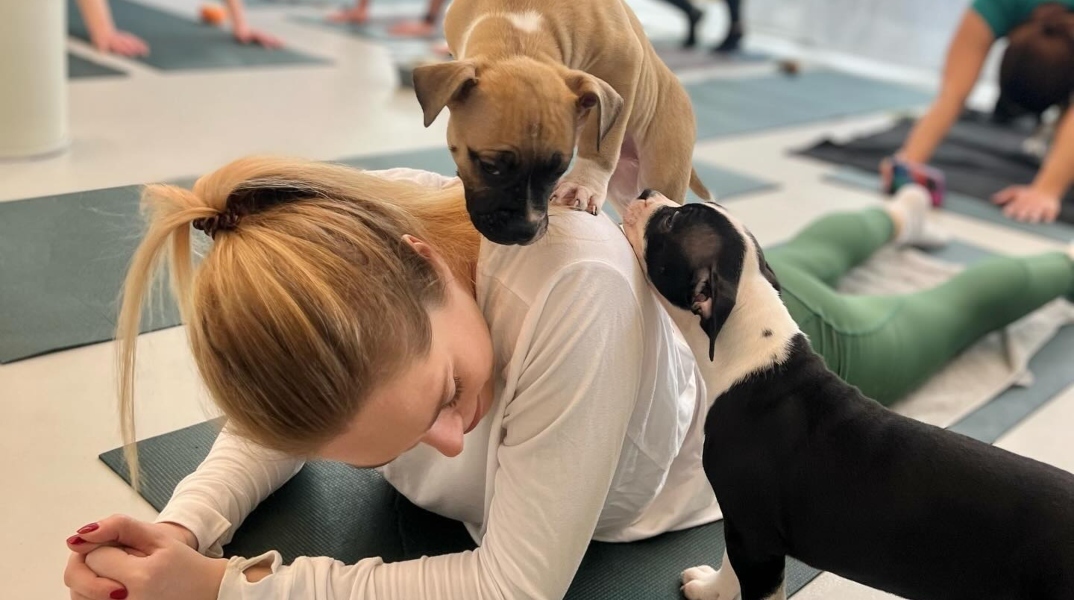 γυναικα, 2 κουταβια