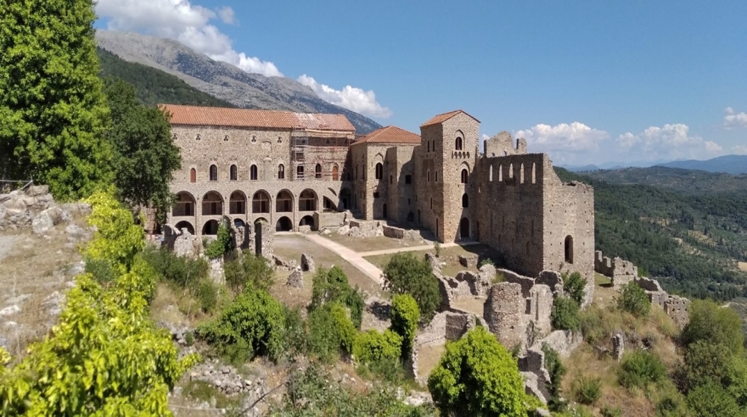 καστρο, δεντρα