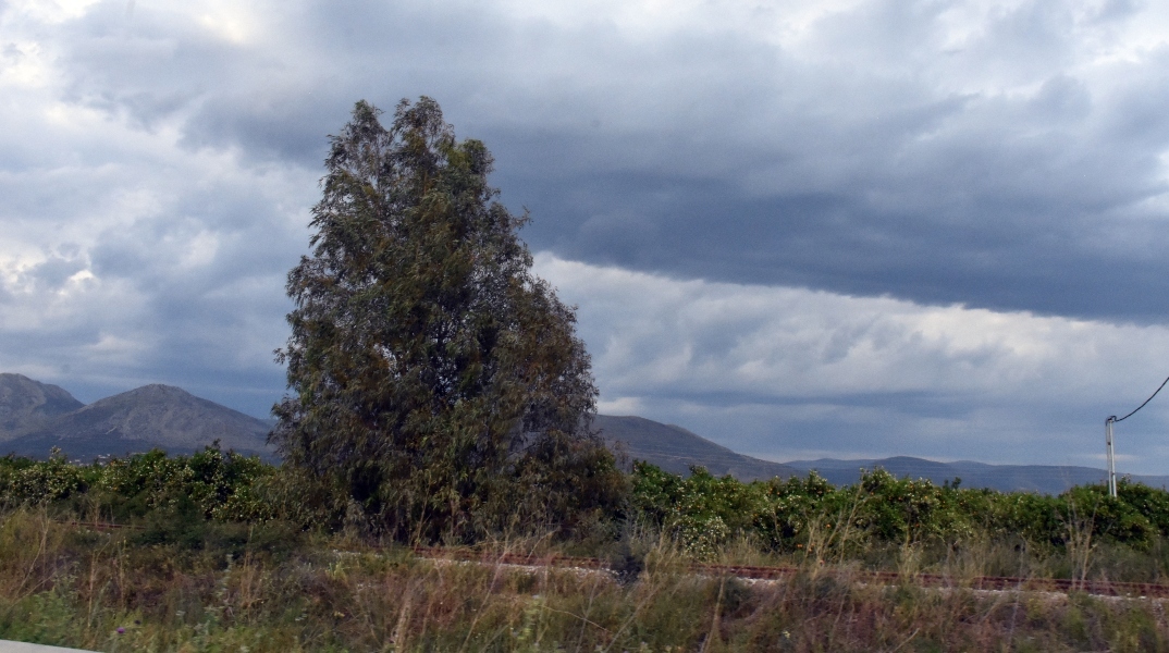 Βουνά, σύννεφα, δέντρα 