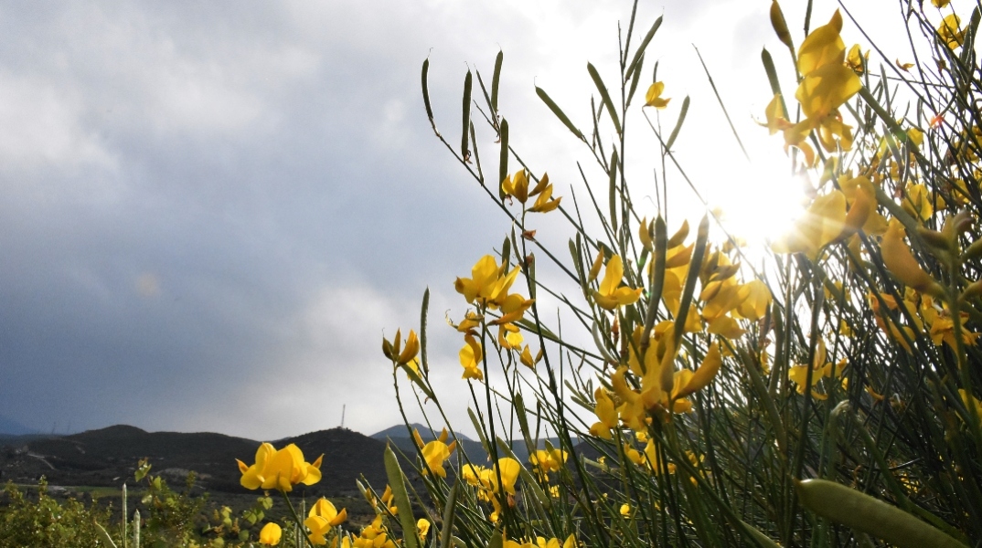 Γενικά αίθριος θα είναι ο καιρός αύριο Σάββατο με αραιές νεφώσεις και τοπικές βροχές