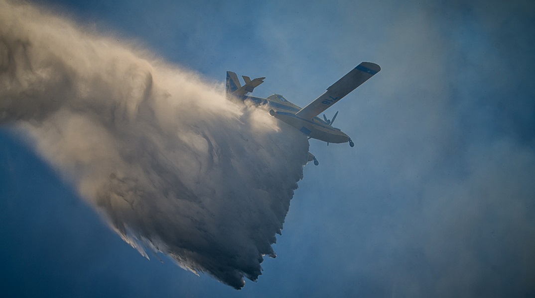 Φωτιά στη Βοιωτία 