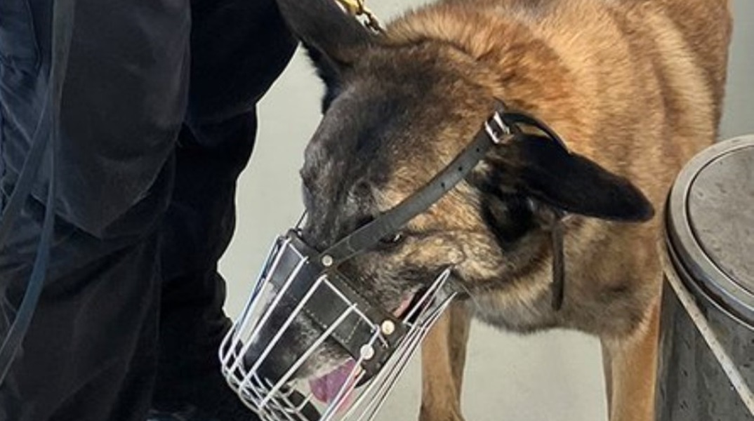 Η «Σκαρ» θα συνδράμει στις έρευνες για τον εντοπισμό του Michael Mosley