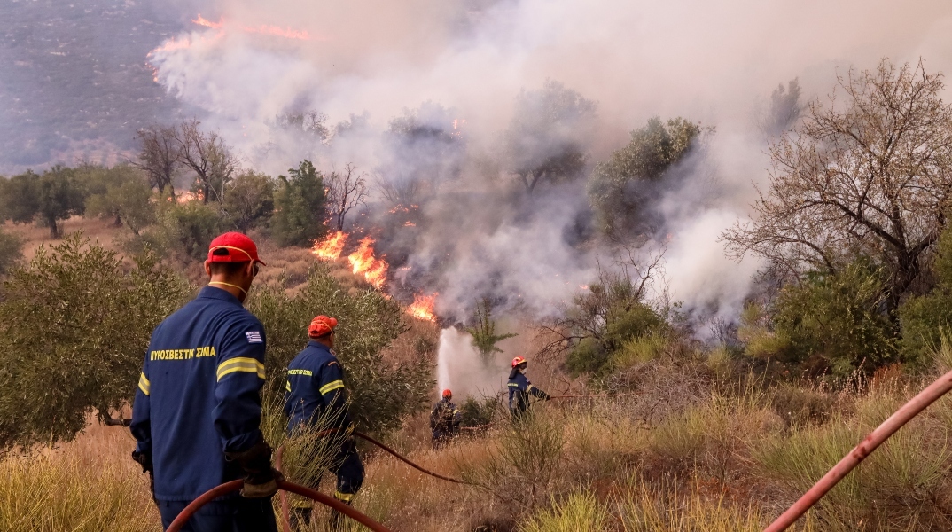 πυροσβεστες, φωτια, δασος