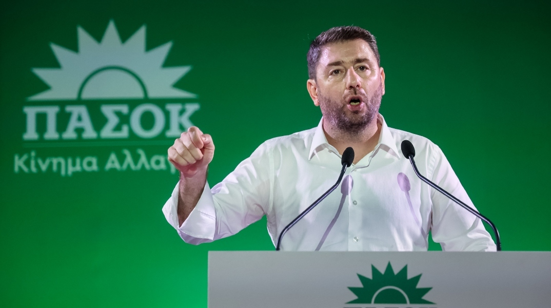 ο πρόεδρος του ΠΑΣΟΚ, Νίκος Ανδρουλάκης