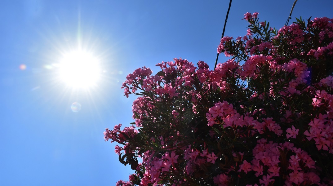 Ηλιοφάνεια με λίγες νεφώσεις θα έχει ο καιρός την Πέμπτη - Τους 37 °C θα αγγίξει ο υδράργυρος