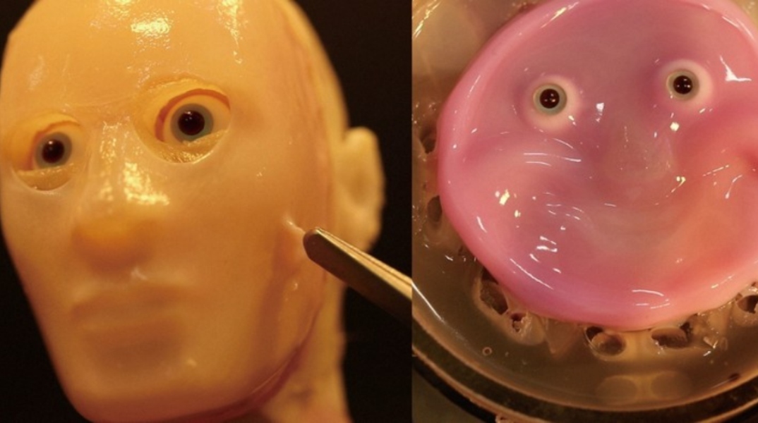 ρομποτ με ζωντανό δέρμα