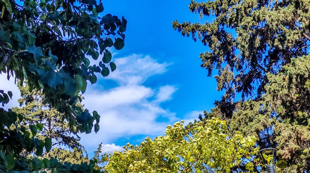 ουρανος, συννεφα, δεντρα