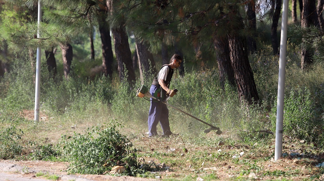 Ακαθάριστα οικόπεδα