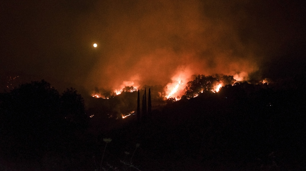 φωτια, δασος, βουνο