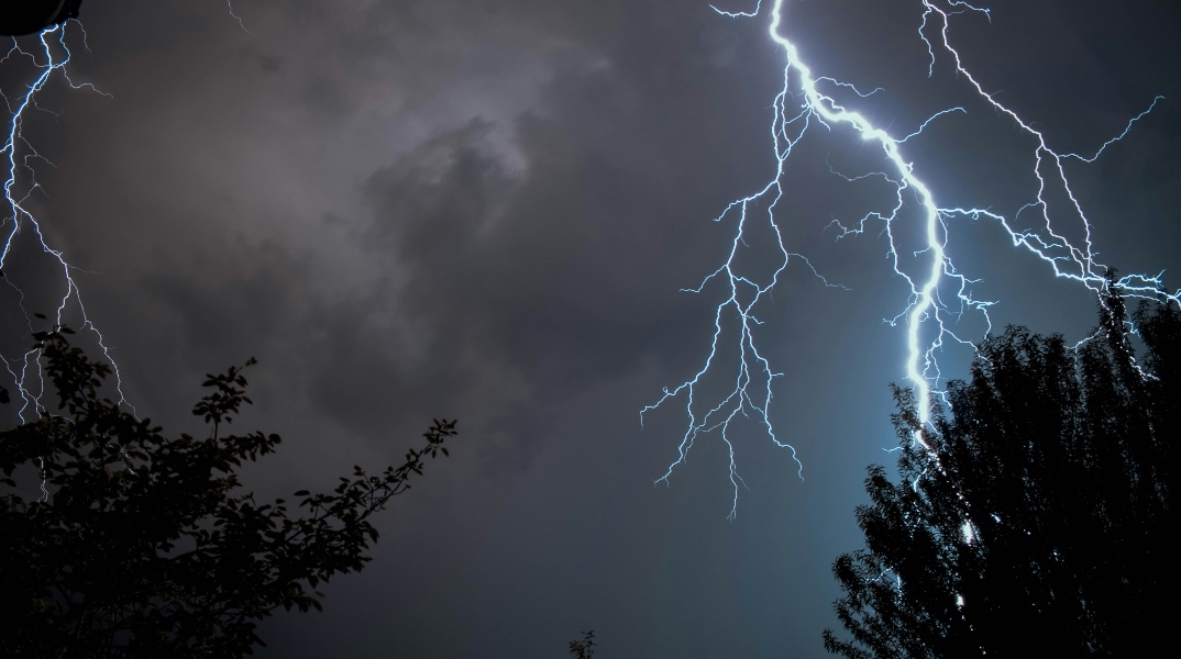 κεραυνος, δεντρα