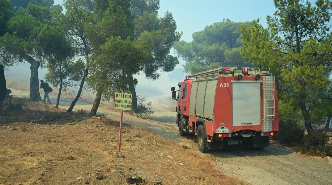 φωτια, δασος, πυροσβεστικο οχημα