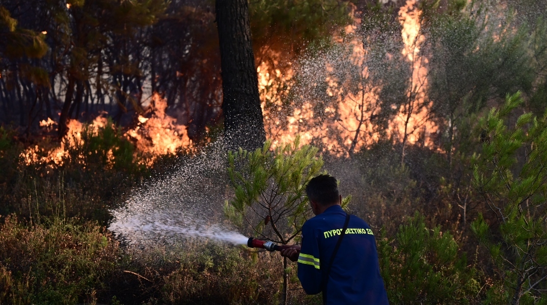 πυροσβεστης, φωτια, δασος