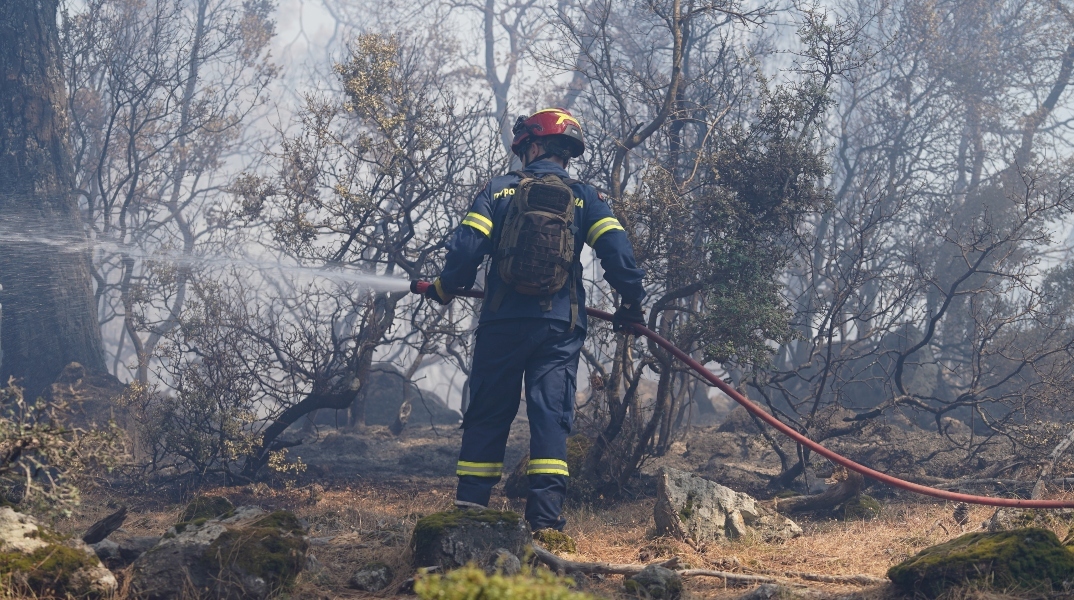 πυροσβεστης, φωτια, δασος