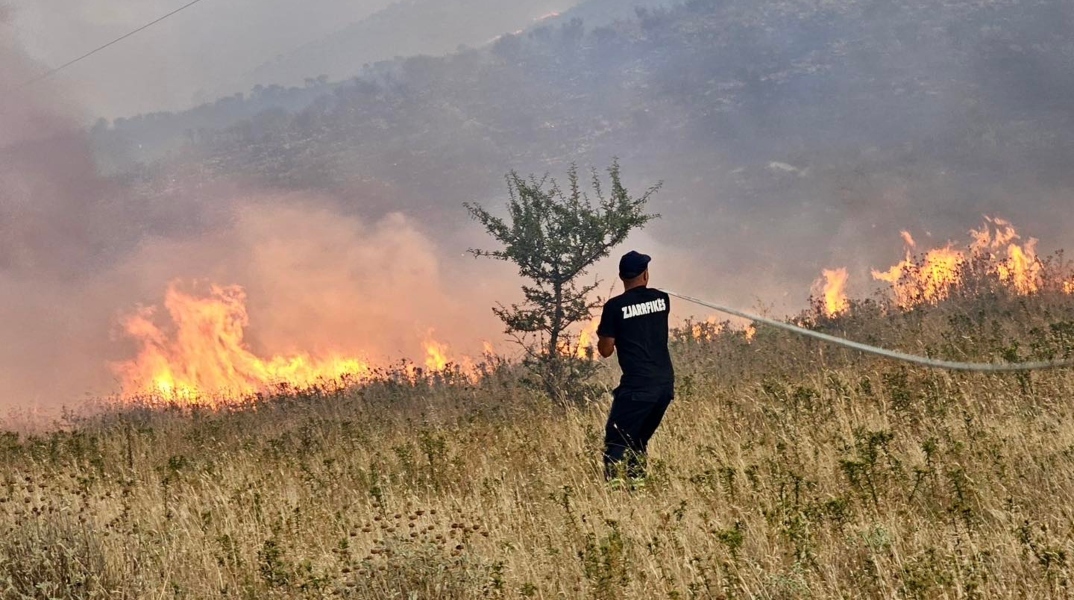 πυροσβεστης, φωτια, δασος