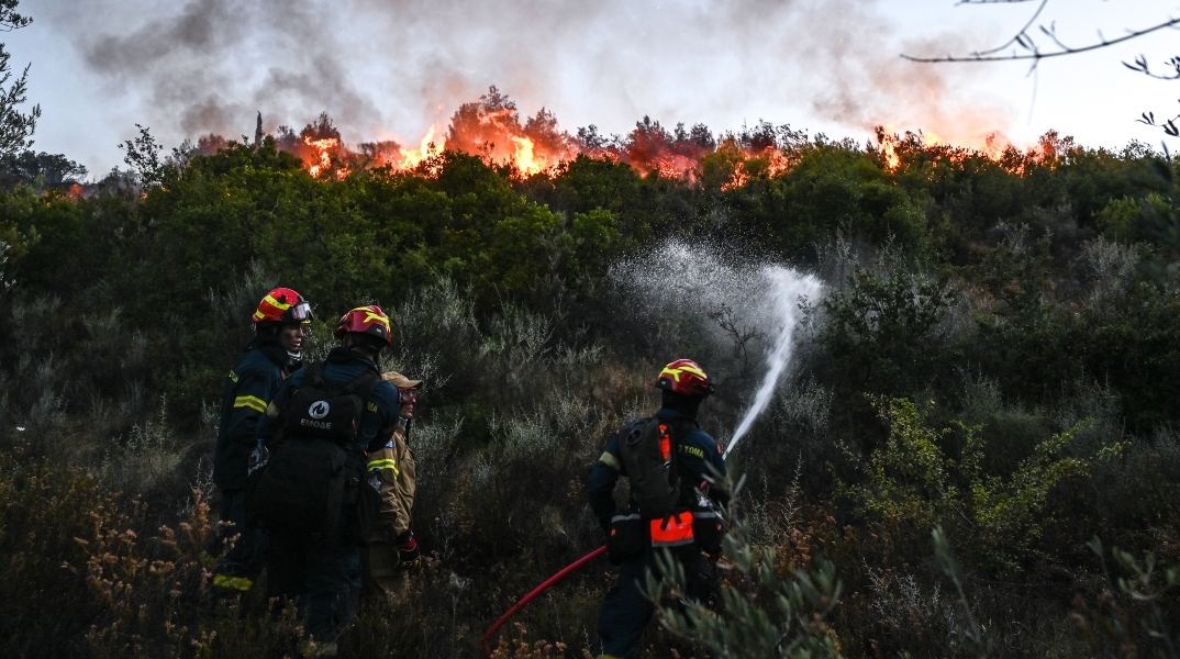 φωτια, δασος