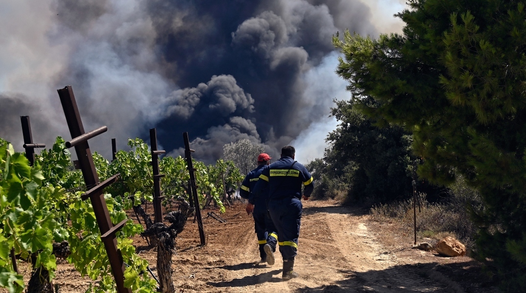 πυροσβεστες, φωτια, δεντρα