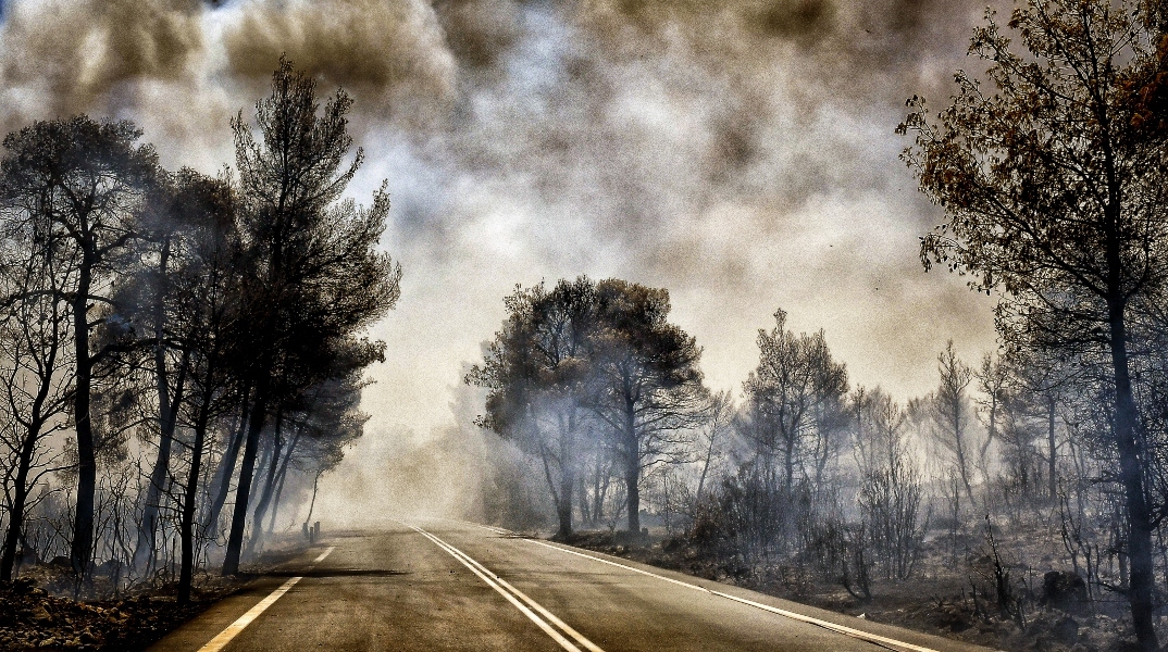 φωτια, καπνος, δασος