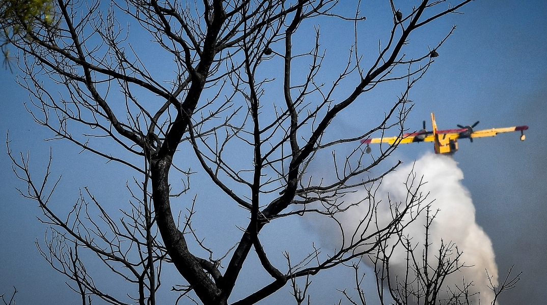 δασος, φωτια, καπνοι, αεροπλανο