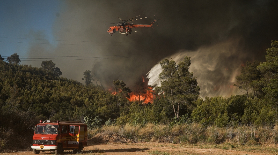 φωτια, δασος, βουνο