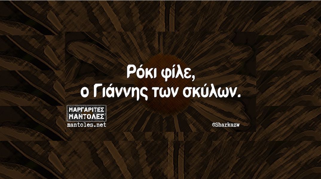 Αστεία memes, ατάκες, YOLO βίντεο, viral, αστεία video στο TikTok που ανέβηκαν στο διαδίκτυο και μας έκαναν να γελάσουμε.