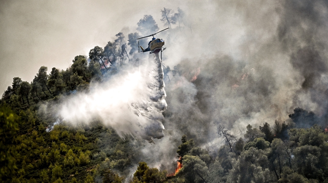 δασος, φωτια, καπνοι, αεροπλανο