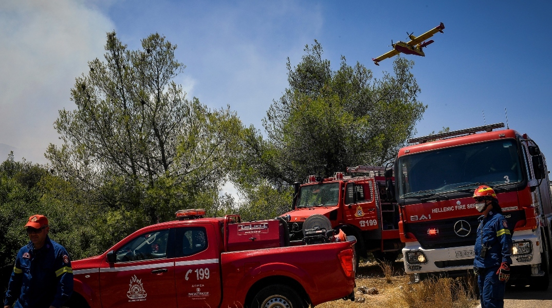 πυροσβεστες, φωτια, δασος