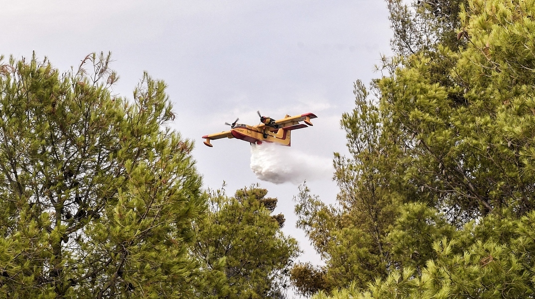 δασος, αεροσκαφος πυροσβεστικης
