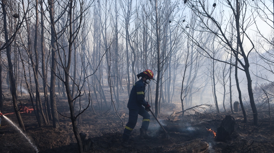 Φωτιά στην Αττική: Ανησυχία για τους ανέμους σήμερα - Πότε θα κοπάσουν τα μελτέμια