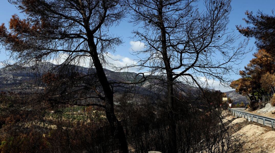 Διευκρινίσεις του YΠΕΝ για τα έργα αποκατάστασης και αναδάσωσης στη βόρεια Εύβοια	