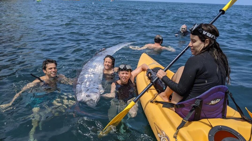  Ψάρι του βαθέος ωκεανού που μοιάζει με φίδι ξεβράστηκε στις ακτές της Καλιφόρνια