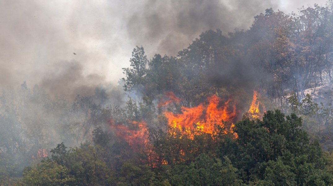 Τουρκία: Συνεχίζεται η μάχη στα πύρινα μέτωπα - Νέα εστία πυρκαγιάς στα Βουρλά της Σμύρνης
