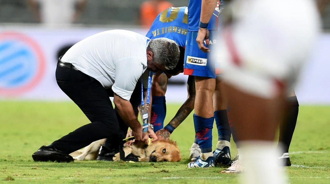 Χαριτωμένος σκύλος ήθελε τα χάδια του και διέκοψε τον αγώνα Βόλος-Ολυμπιακός