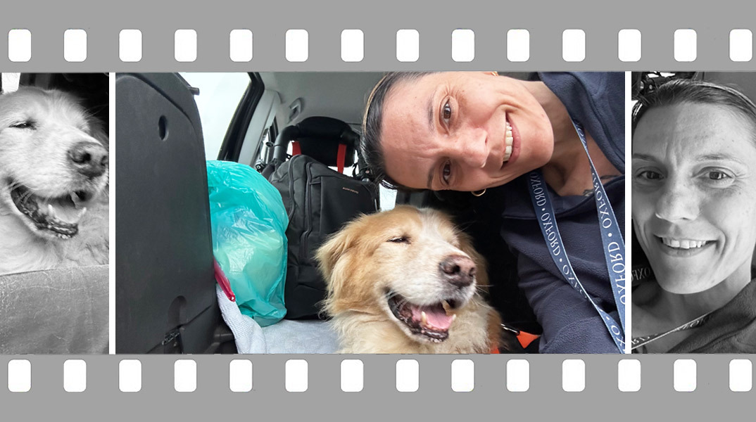 Ο φίλος μου ο Μπετόβεν, συνταξιδιώτης στο πρώτο μισό της διαδρομής, από την Αθήνα στο Νοορντβάικ της Ολλανδίας