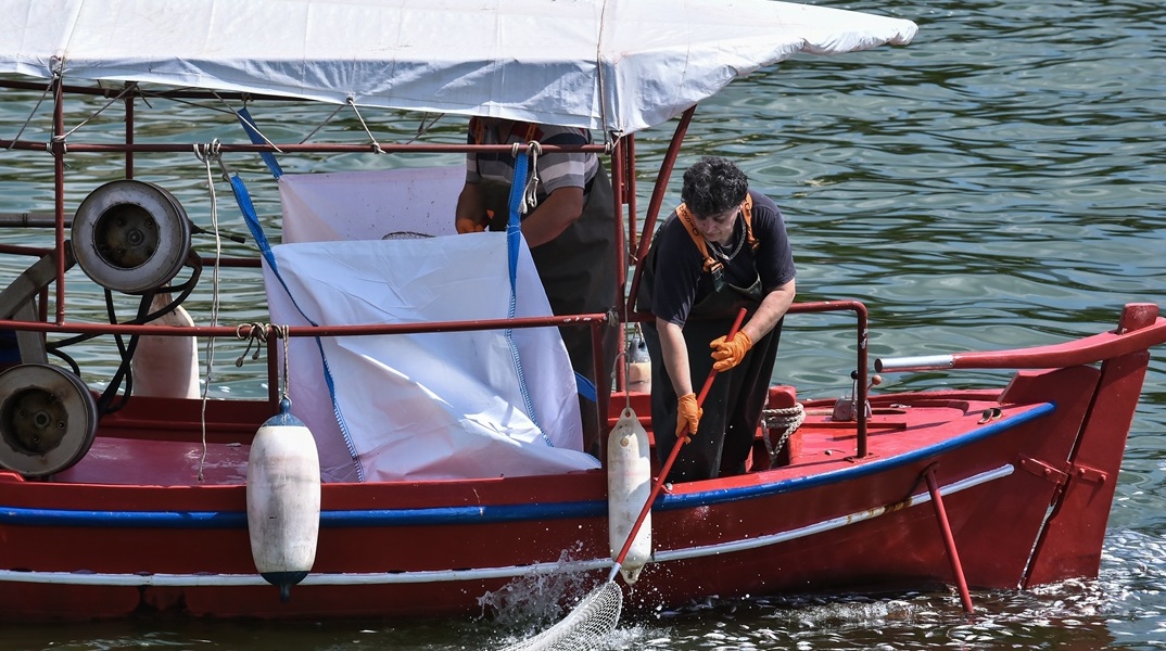Αλιείς μαζεύουν με απόχη νεκρά ψάρια από τον Βόλο