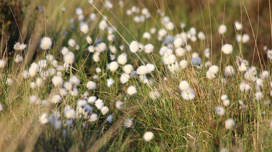 Εορτολόγιο: Σήμερα 22 Οκτωβρίου 2024 γιορτάζει…
