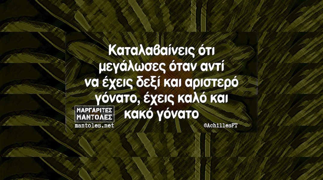 [Εικόνα: yolo-deutera-28-10-2024.webp]