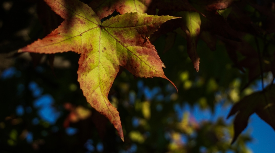 Καιρός: Ηλιοφάνεια την Τρίτη με λίγες αραιές νεφώσεις