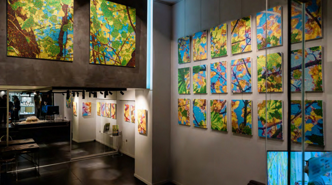 Γιώργος Πέφανης - Windows Within: Μια γιορτή της ομορφιάς που μας περιβάλλει