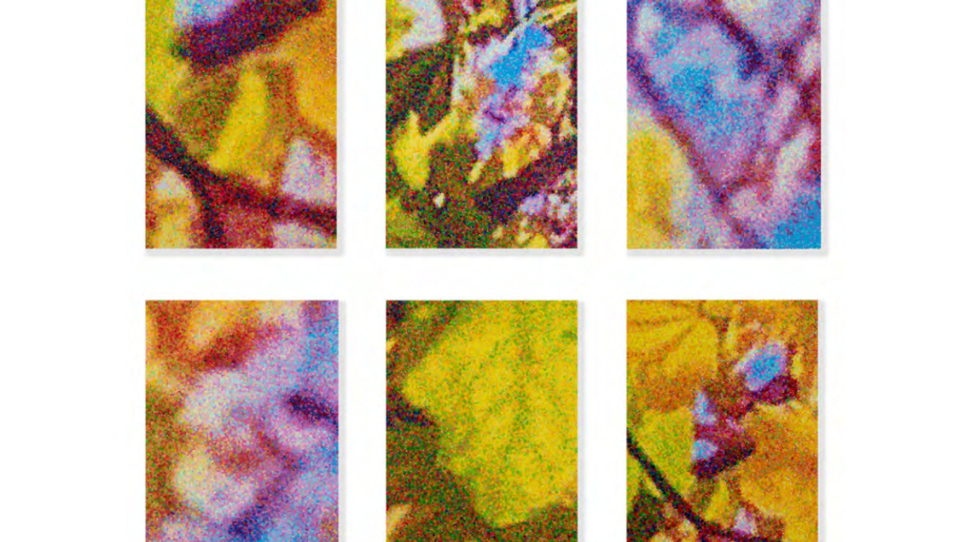 Γιώργος Πέφανης - Windows Within: Μια γιορτή της ομορφιάς που μας περιβάλλει