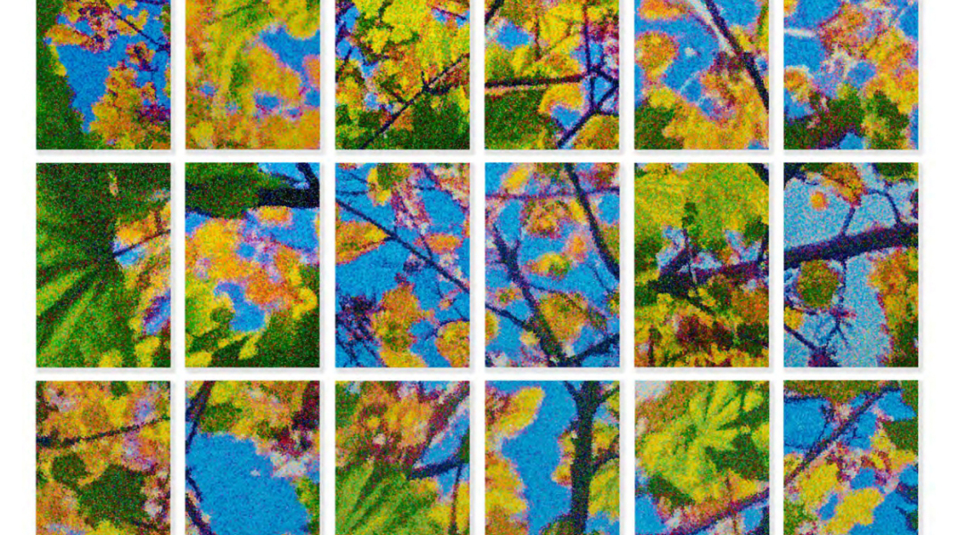 Γιώργος Πέφανης - Windows Within: Μια γιορτή της ομορφιάς που μας περιβάλλει