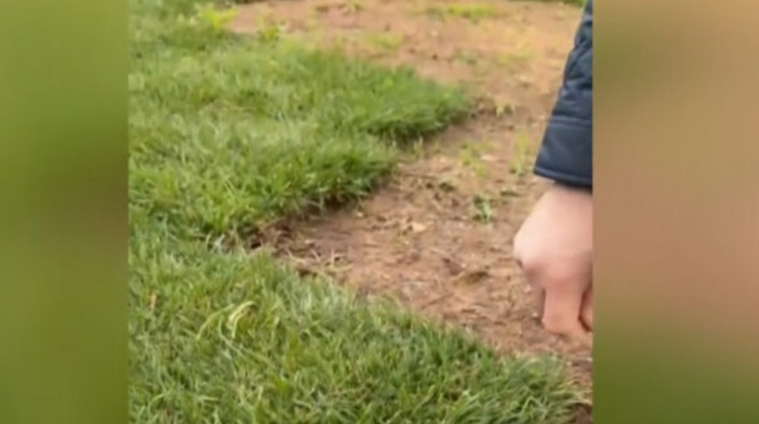 Έκλεψαν το γκαζόν από το δήμο Ελληνικού - «Ο ευρών αμειφθήσεται» λέει ο δήμαρχος