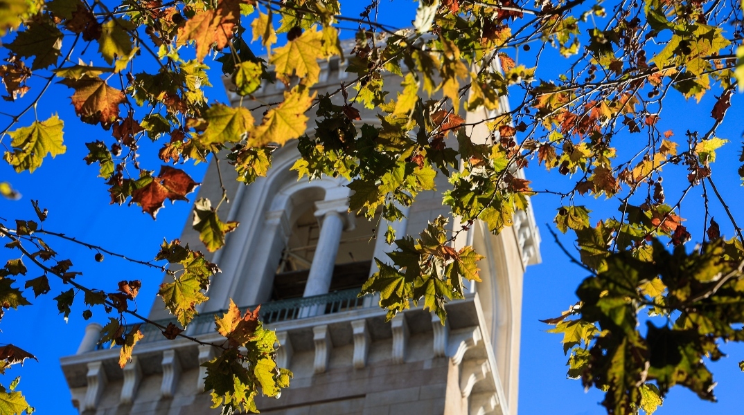 ουρανος, φυλλα, πυργος