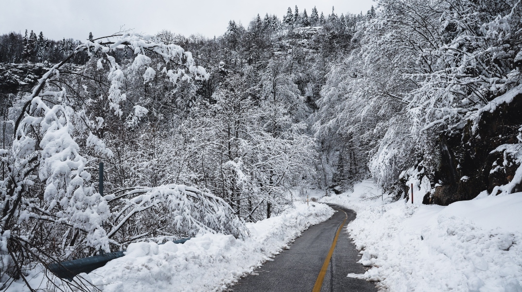 χιονια, δρομος, δεντρα