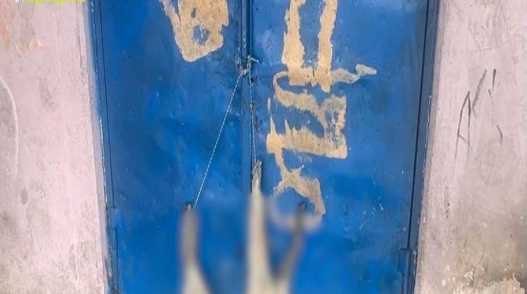 Καρδίτσα: Κρέμασαν νεκρό σκύλο σε πόρτα δημοτικού σχολείου