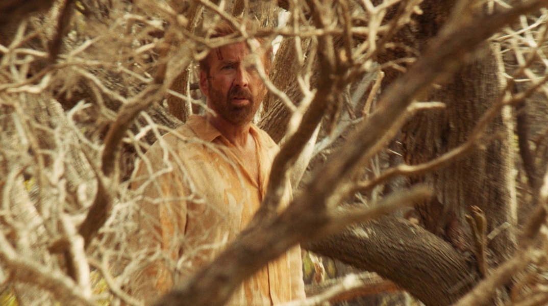 The Surfer: Δείτε το τρέιλερ της νέας ταινίας με τον Νίκολας Κέιτζ