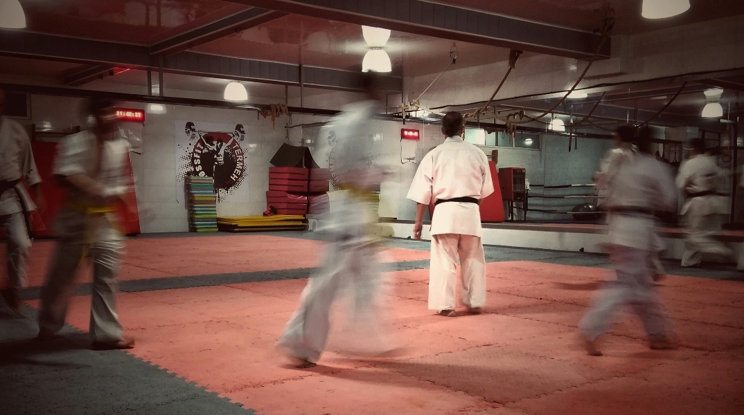 αθλητες πολεμικων τεχνων