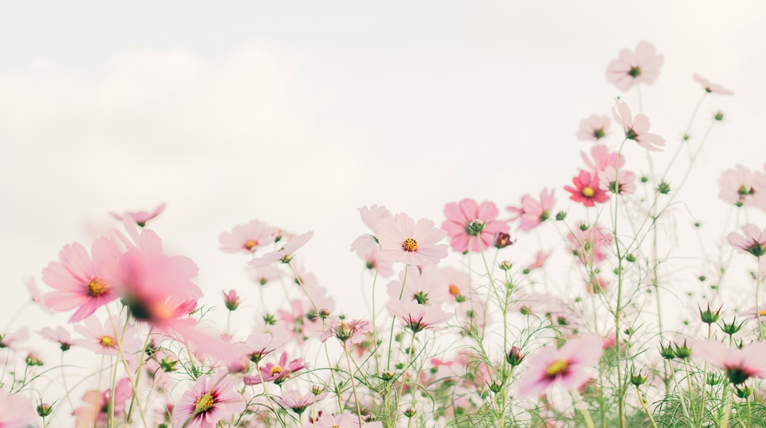 Εορτολόγιο: Σήμερα 12 Μαρτίου 2025 γιορτάζει…