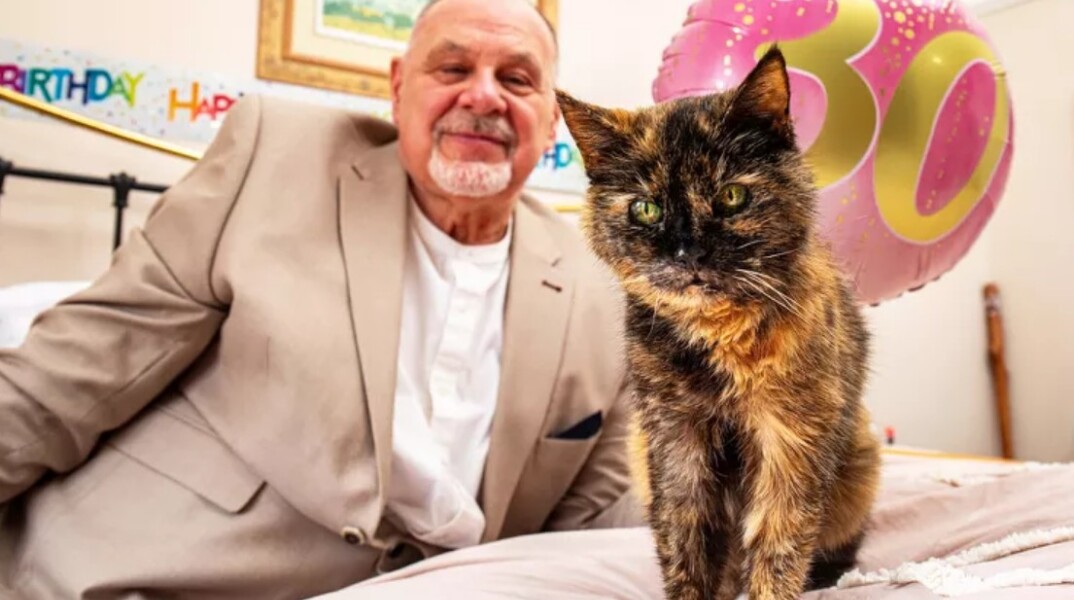 Αυτή είναι η γηραιότερη γάτα στον κόσμο - Τα μυστικά της μακροζωίας ως τα 30
