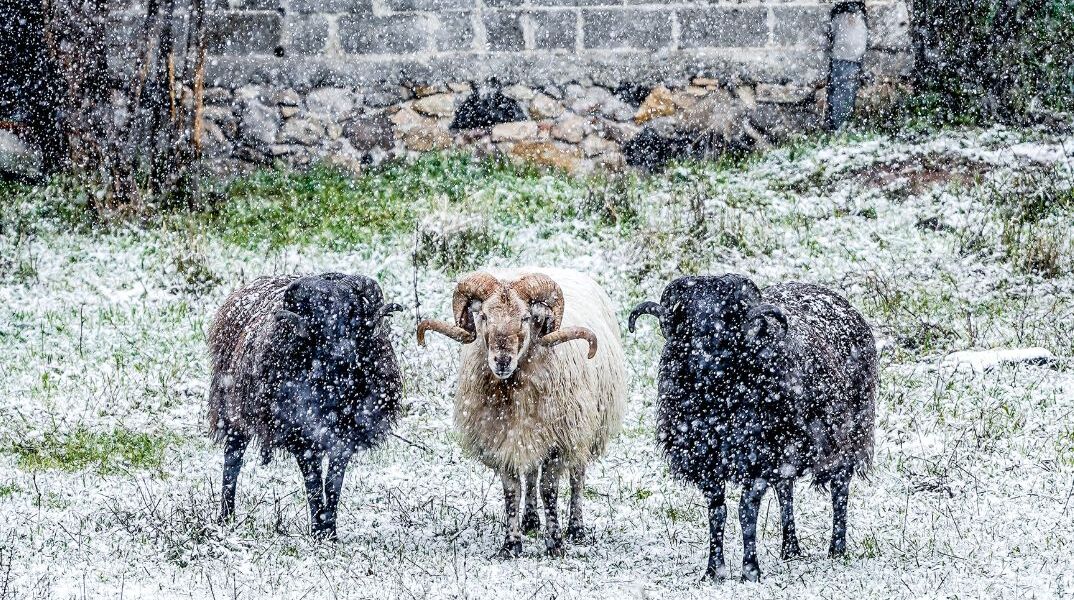Καιρός: Χιονίζει στην πόλη της Φλώρινας - Χαλάζι στην Χαλκιδική