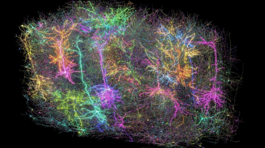 Εγκέφαλος: Ο πιο λεπτομερής χάρτης του μέχρι σήμερα - Έλληνας στην ερευνητική ομάδα